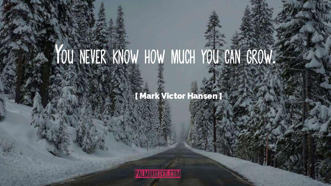 Mark Victor Hansen Quotes: You never know how much