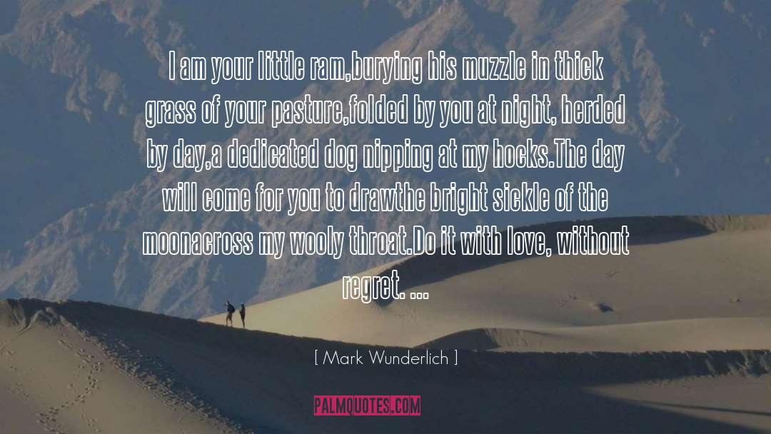 Mark Wunderlich Quotes: I am your little ram,<br