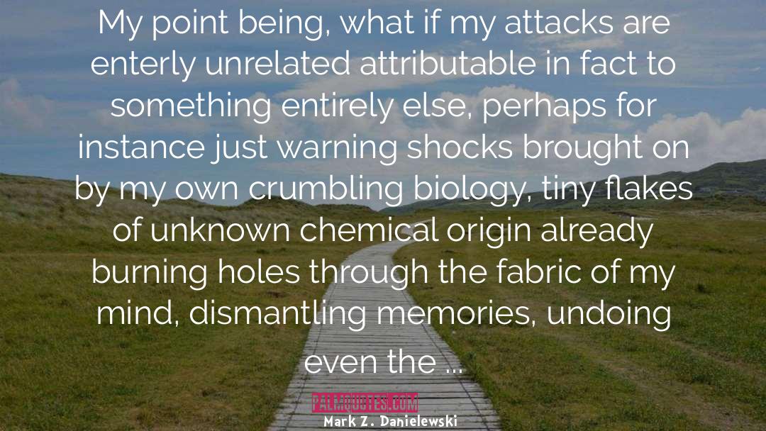 Mark Z. Danielewski Quotes: My point being, what if