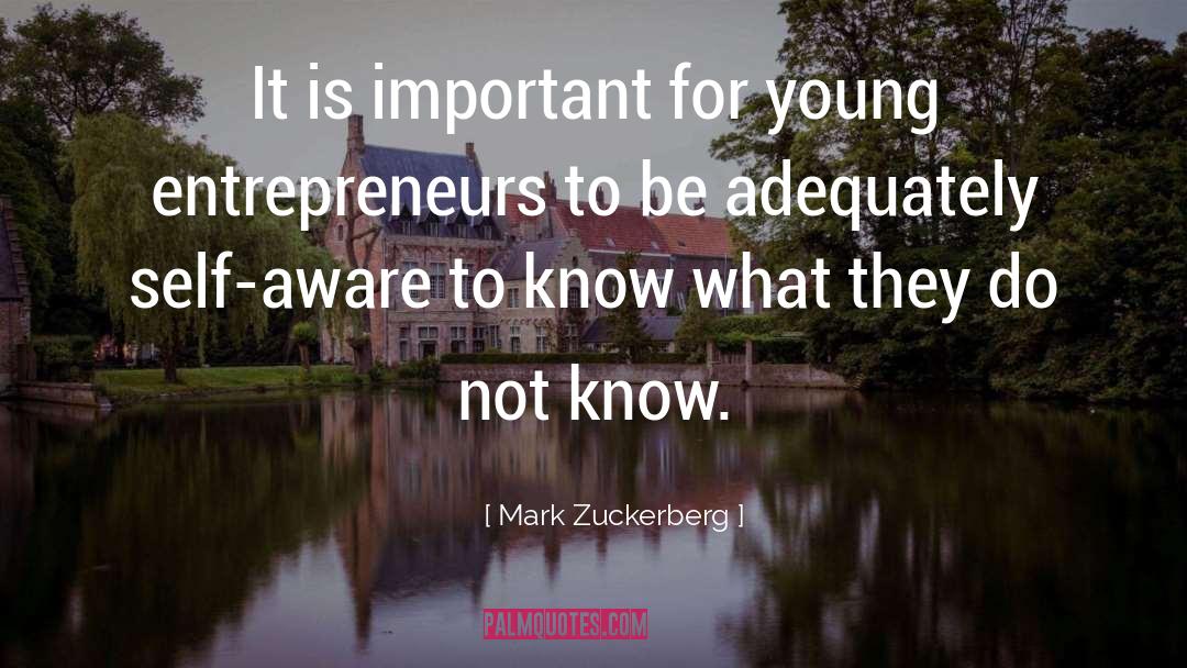 Mark Zuckerberg Quotes: It is important for young