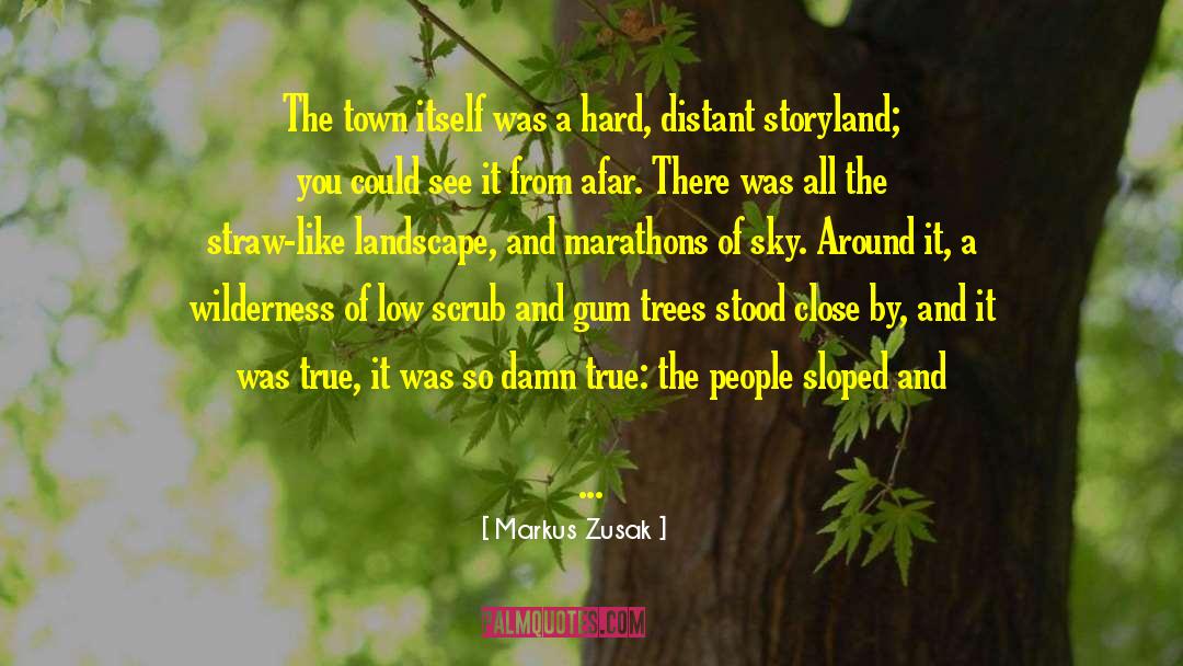 Markus Zusak Quotes: The town itself was a