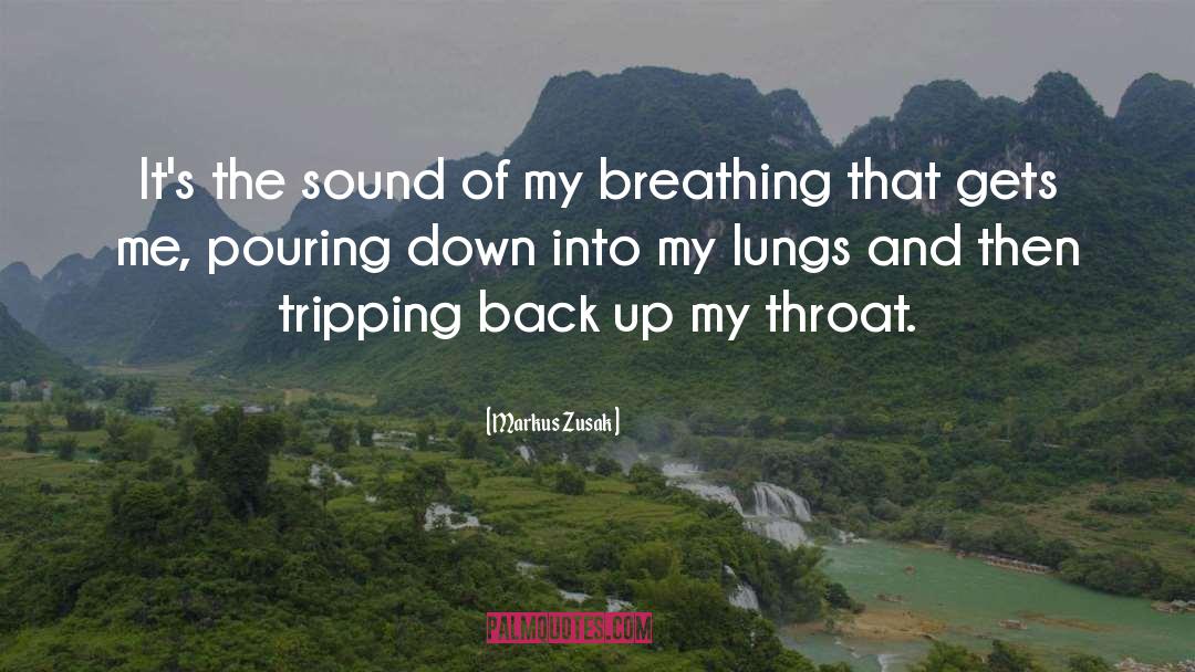 Markus Zusak Quotes: It's the sound of my