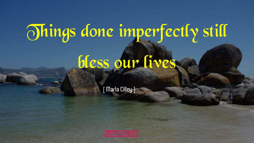 Marla Cilley Quotes: Things done imperfectly still bless