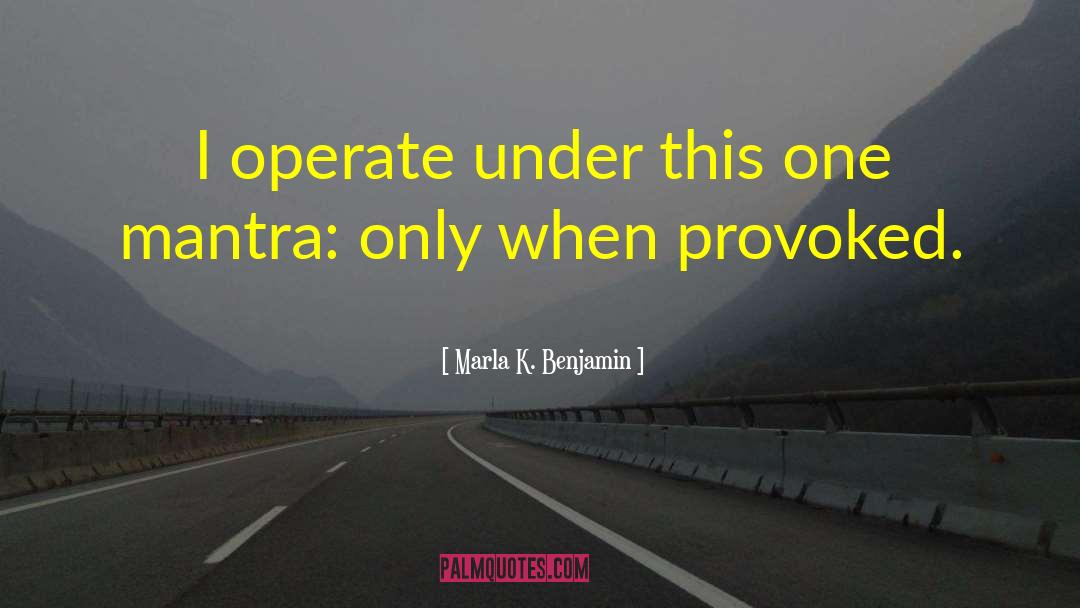 Marla K. Benjamin Quotes: I operate under this one