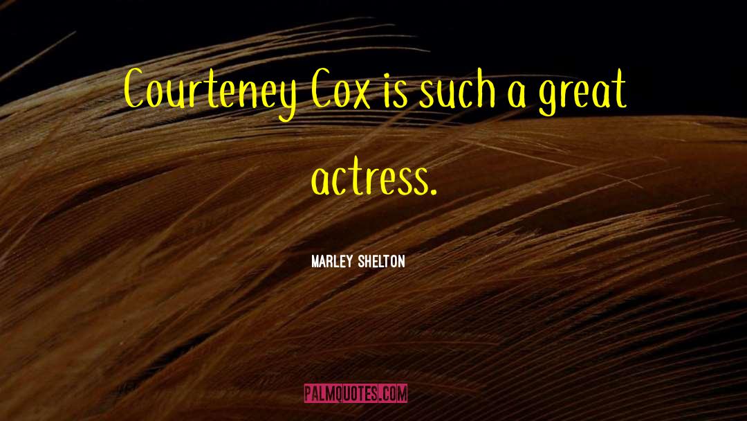 Marley Shelton Quotes: Courteney Cox is such a