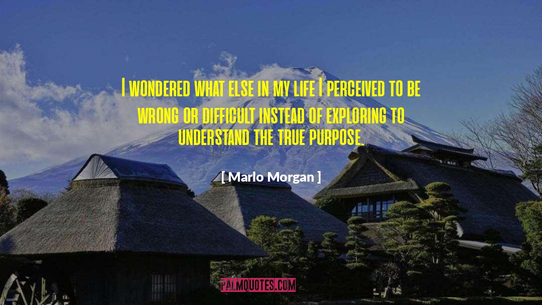 Marlo Morgan Quotes: I wondered what else in