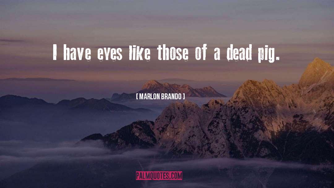 Marlon Brando Quotes: I have eyes like those