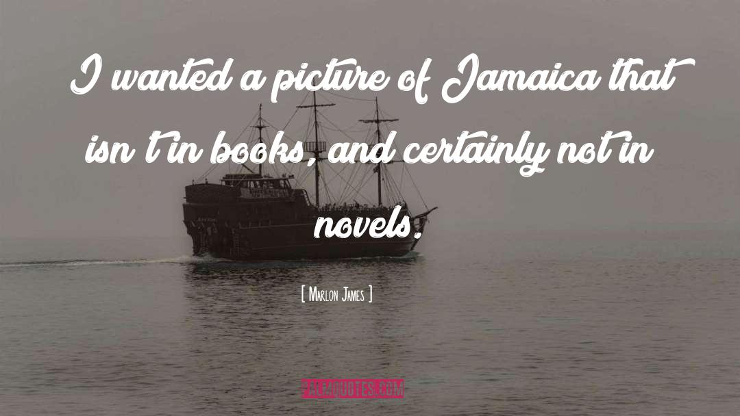 Marlon James Quotes: I wanted a picture of