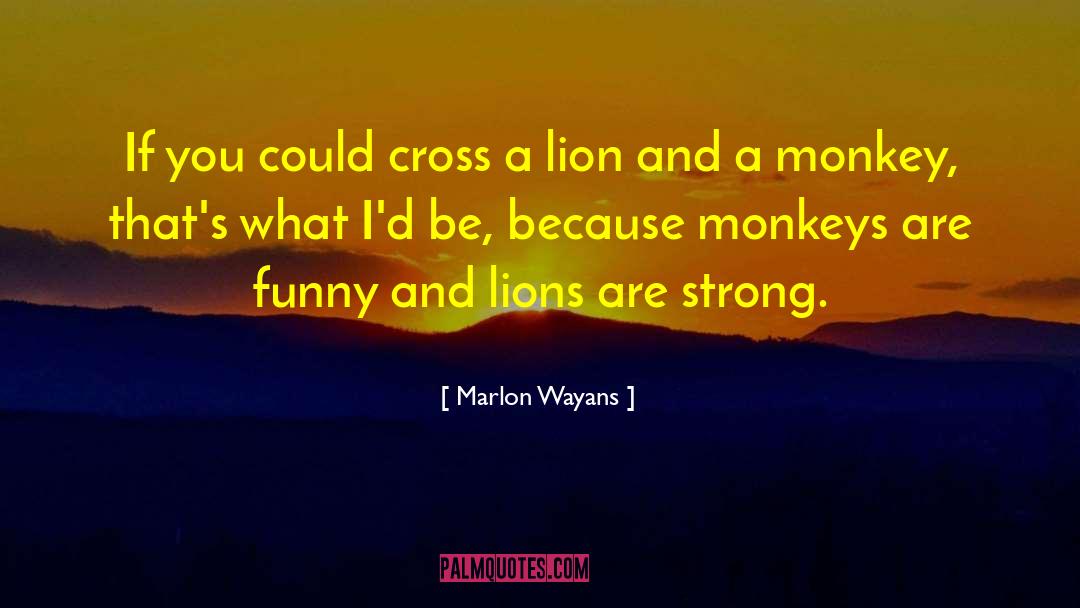 Marlon Wayans Quotes: If you could cross a