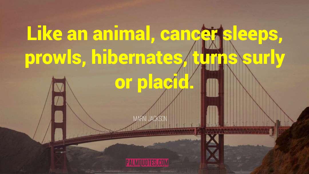 Marni Jackson Quotes: Like an animal, cancer sleeps,