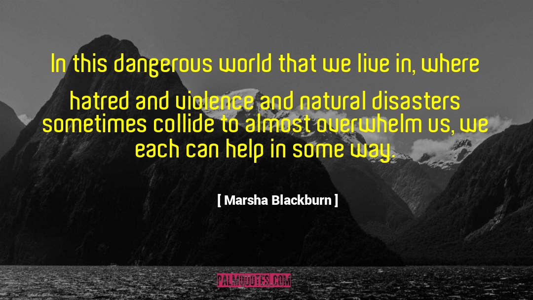 Marsha Blackburn Quotes: In this dangerous world that