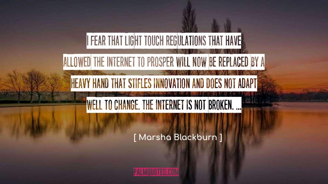 Marsha Blackburn Quotes: I fear that light touch