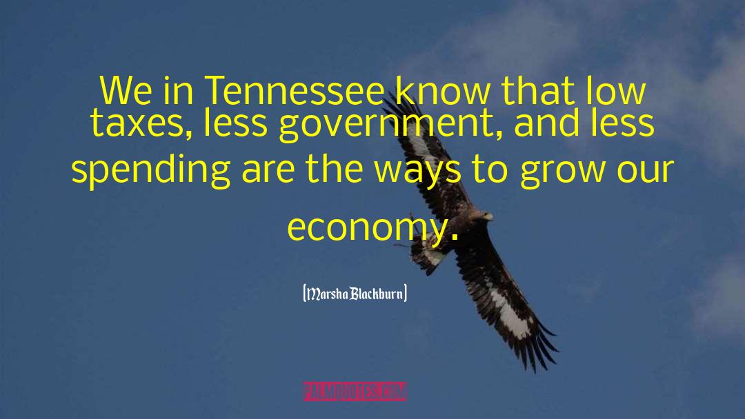 Marsha Blackburn Quotes: We in Tennessee know that