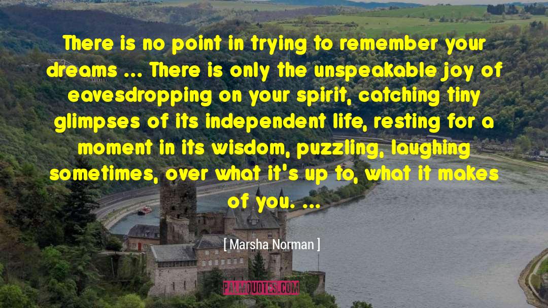 Marsha Norman Quotes: There is no point in