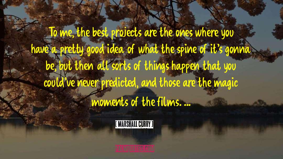 Marshall Curry Quotes: To me, the best projects