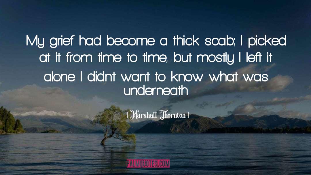 Marshall Thornton Quotes: My grief had become a