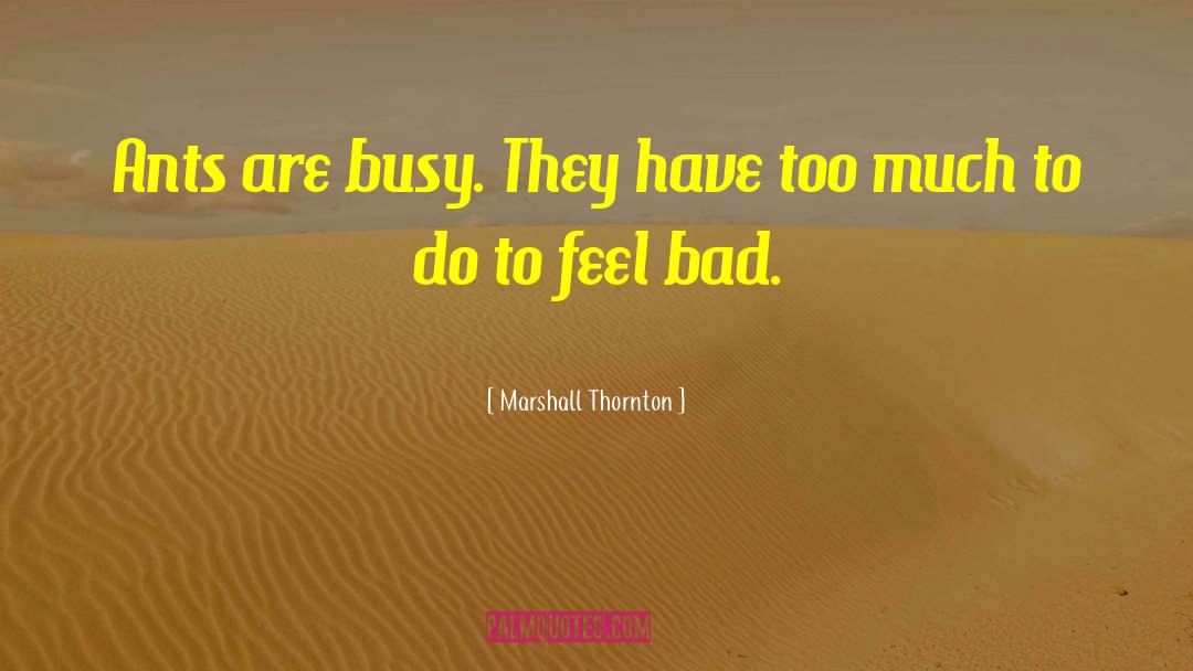 Marshall Thornton Quotes: Ants are busy. They have