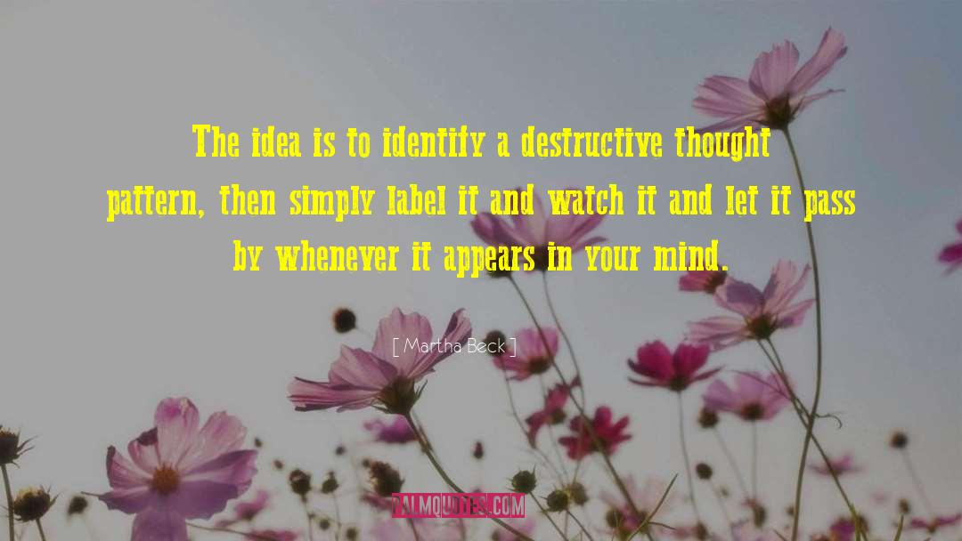 Martha Beck Quotes: The idea is to identify