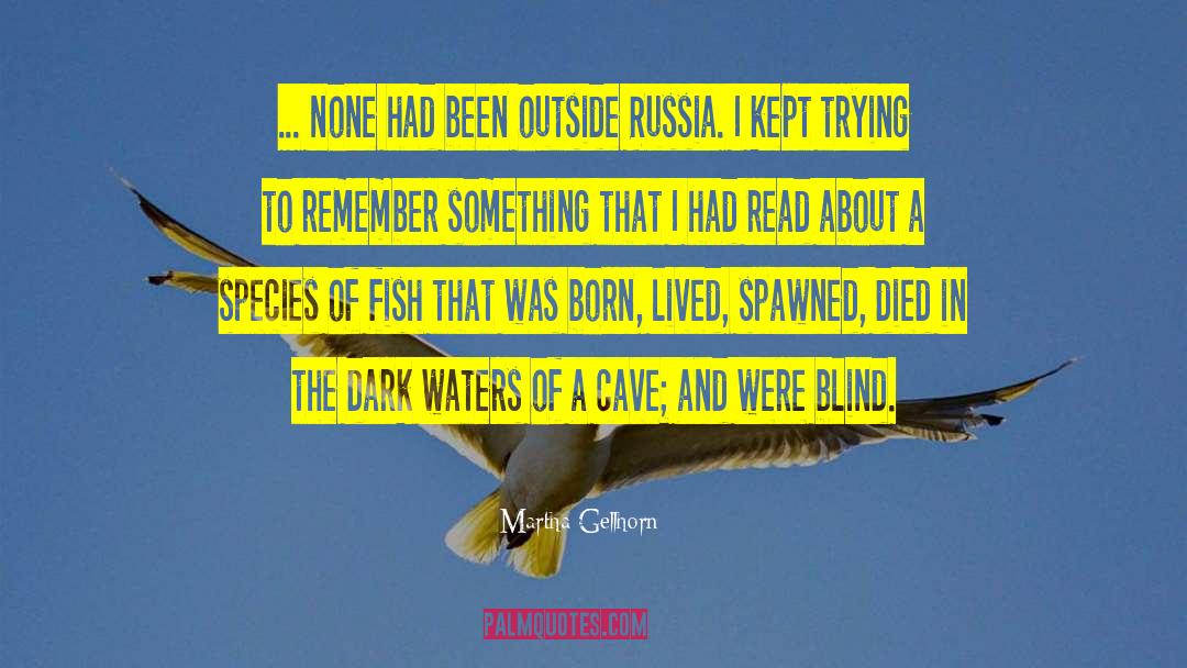 Martha Gellhorn Quotes: ... none had been outside