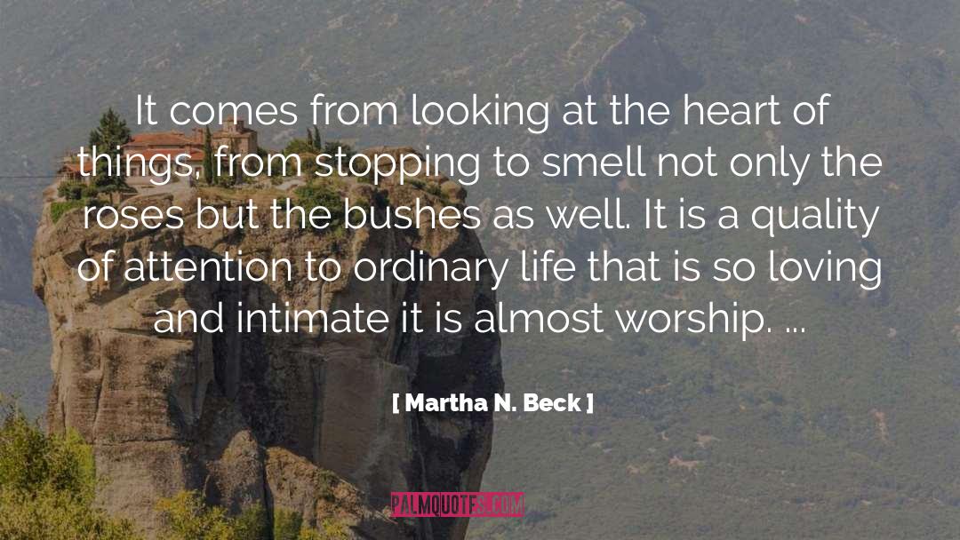 Martha N. Beck Quotes: It comes from looking at