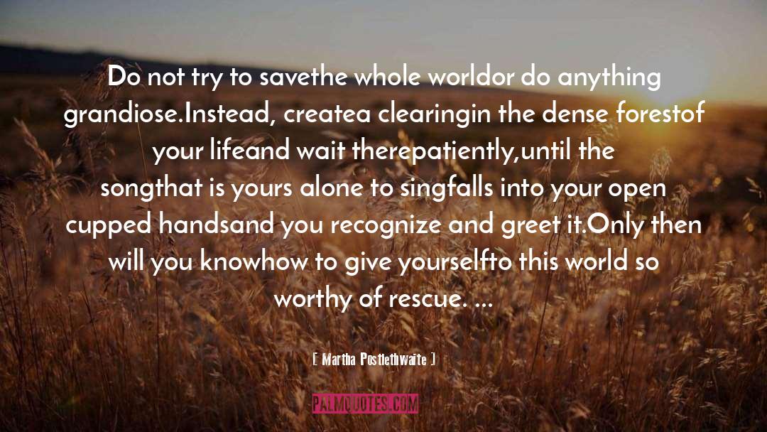 Martha Postlethwaite Quotes: Do not try to save<br