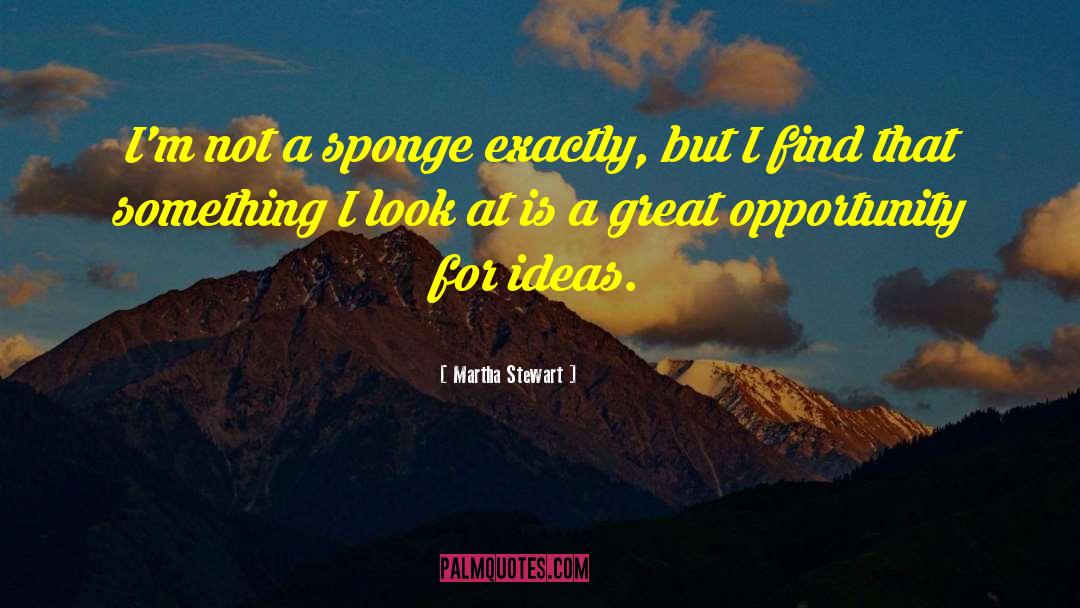 Martha Stewart Quotes: I'm not a sponge exactly,