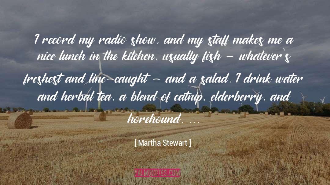 Martha Stewart Quotes: I record my radio show,