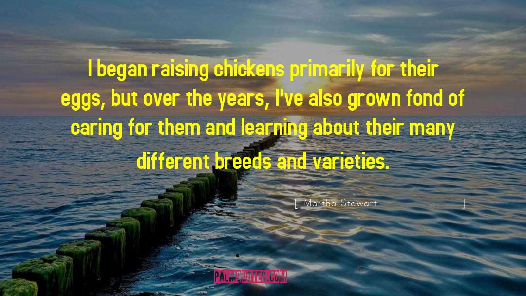 Martha Stewart Quotes: I began raising chickens primarily