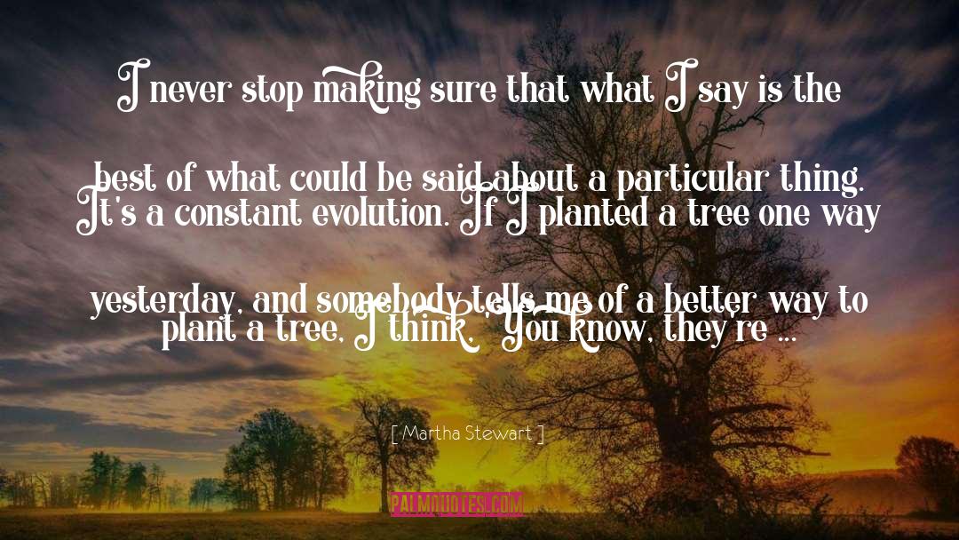 Martha Stewart Quotes: I never stop making sure