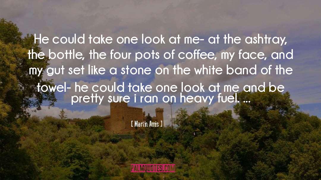 Martin Amis Quotes: He could take one look