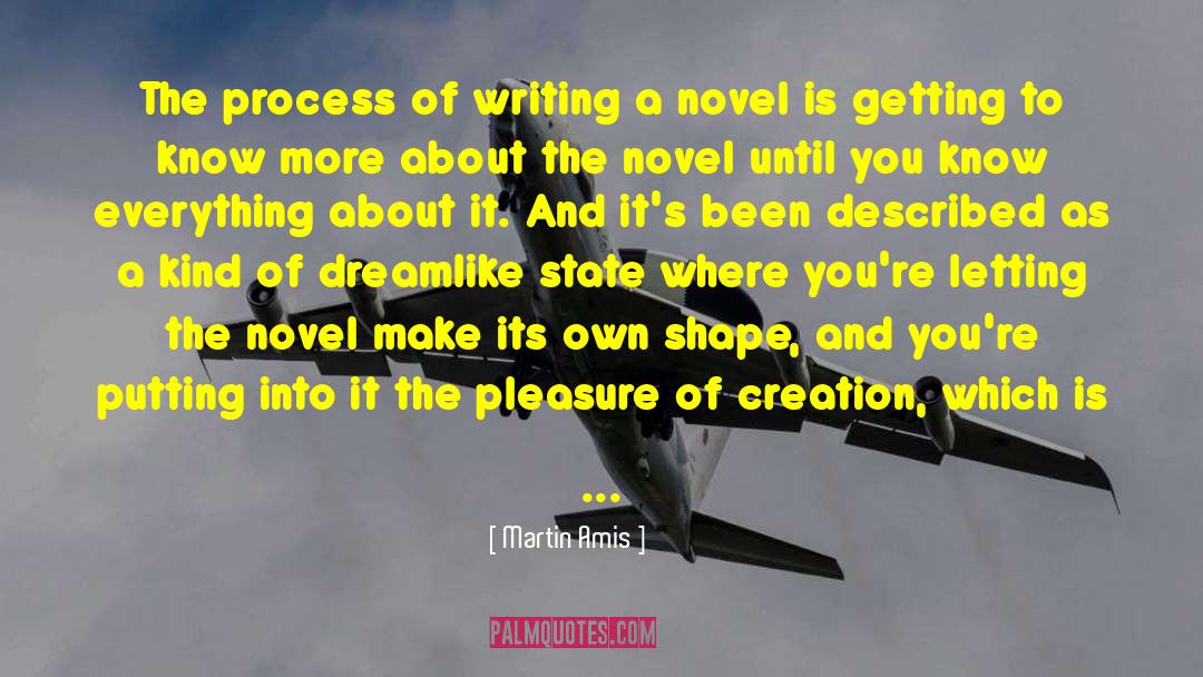 Martin Amis Quotes: The process of writing a