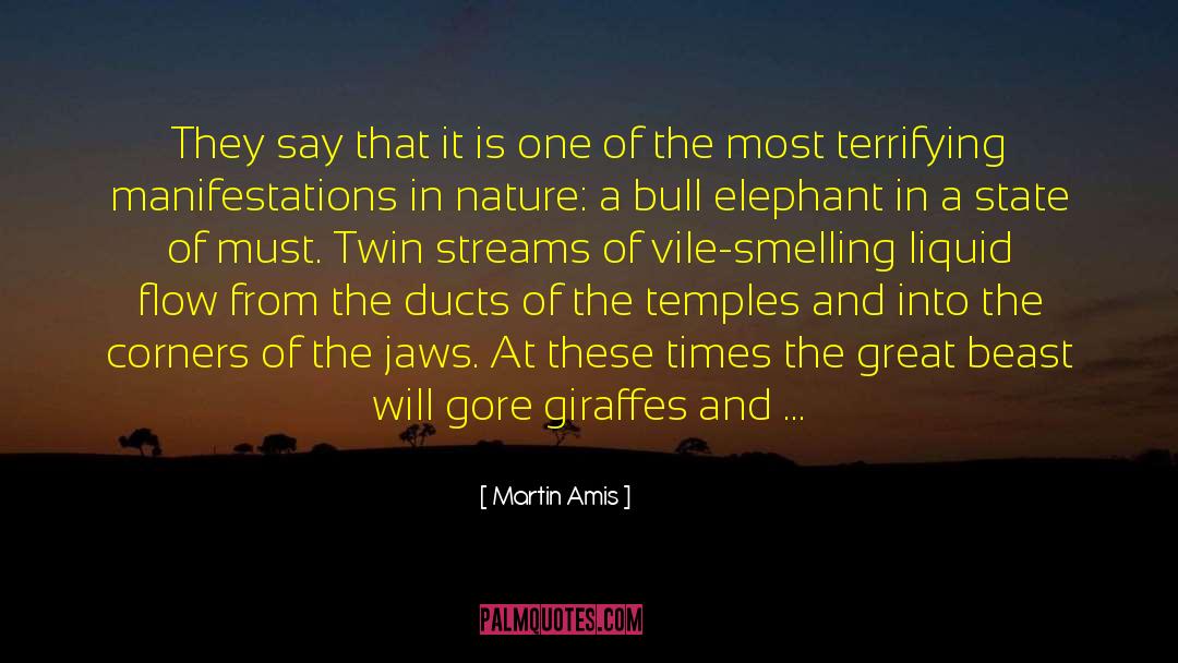 Martin Amis Quotes: They say that it is