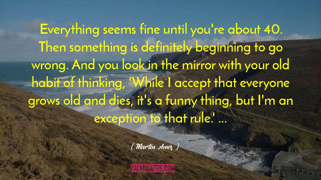Martin Amis Quotes: Everything seems fine until you're