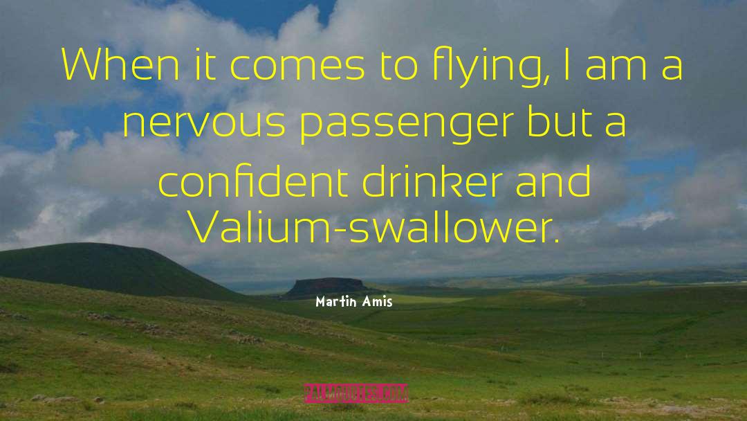 Martin Amis Quotes: When it comes to flying,
