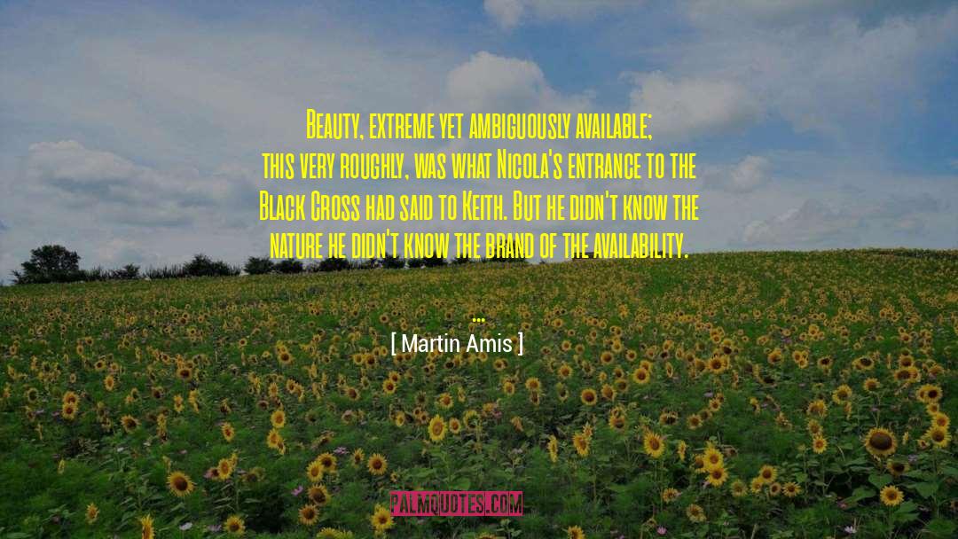 Martin Amis Quotes: Beauty, extreme yet ambiguously available;