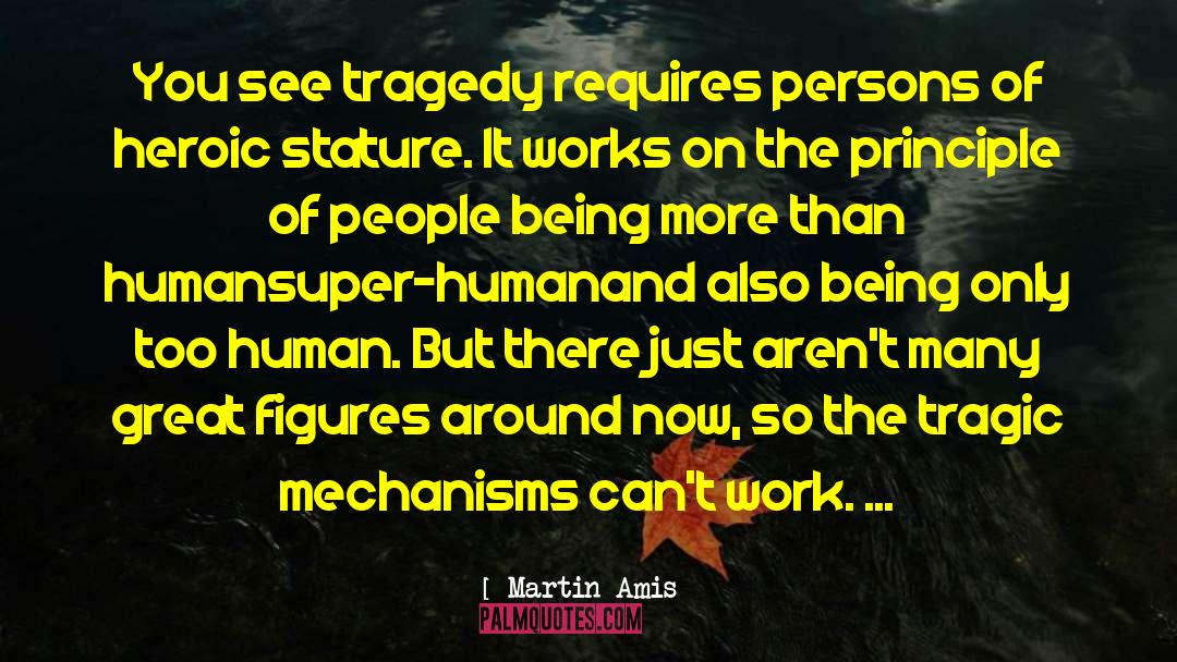 Martin Amis Quotes: You see tragedy requires persons