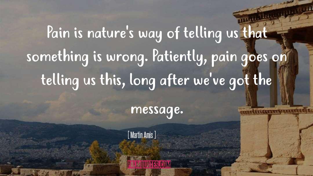 Martin Amis Quotes: Pain is nature's way of