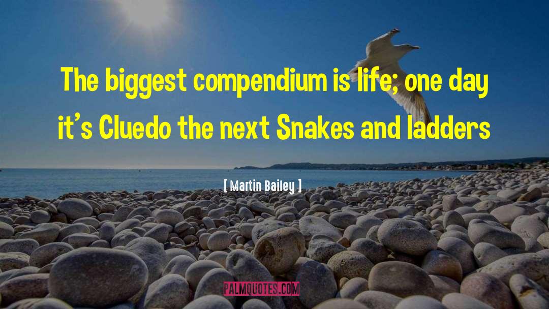 Martin Bailey Quotes: The biggest compendium is life;