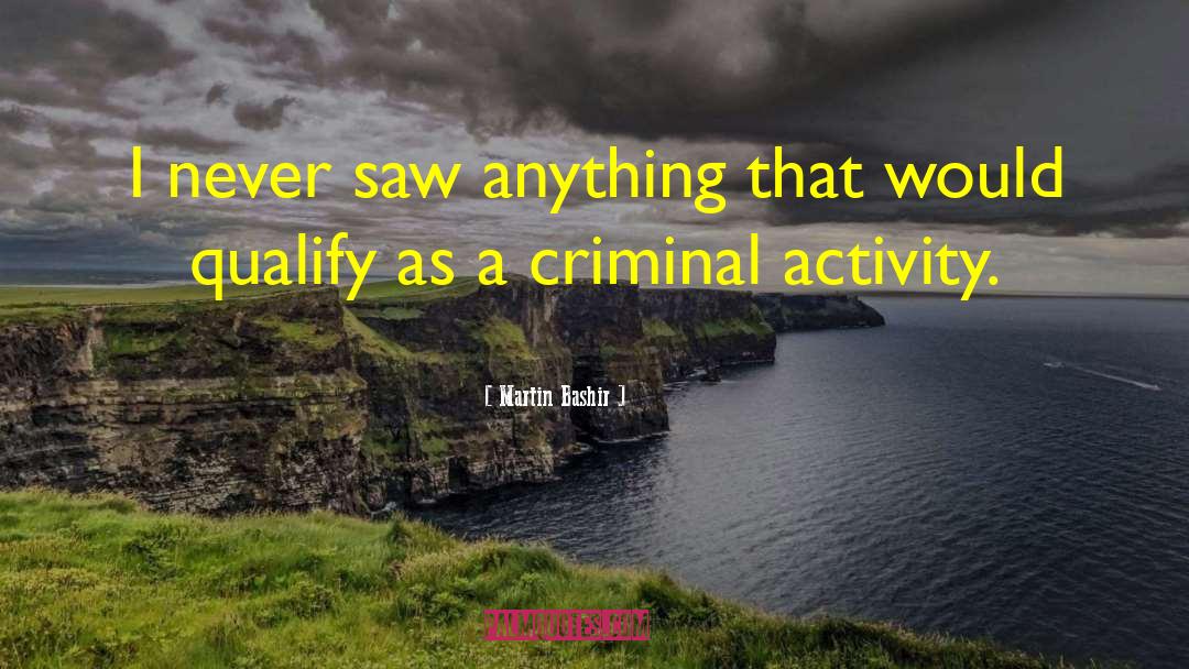 Martin Bashir Quotes: I never saw anything that