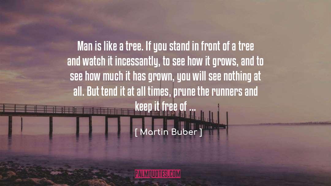 Martin Buber Quotes: Man is like a tree.