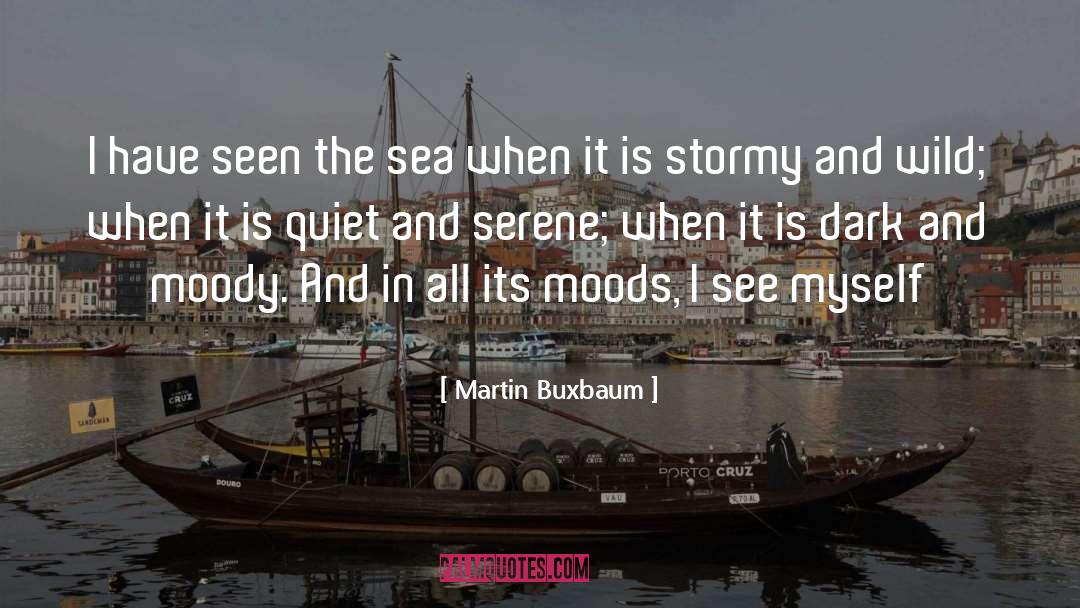 Martin Buxbaum Quotes: I have seen the sea