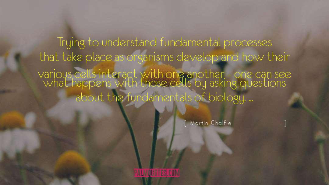 Martin Chalfie Quotes: Trying to understand fundamental processes