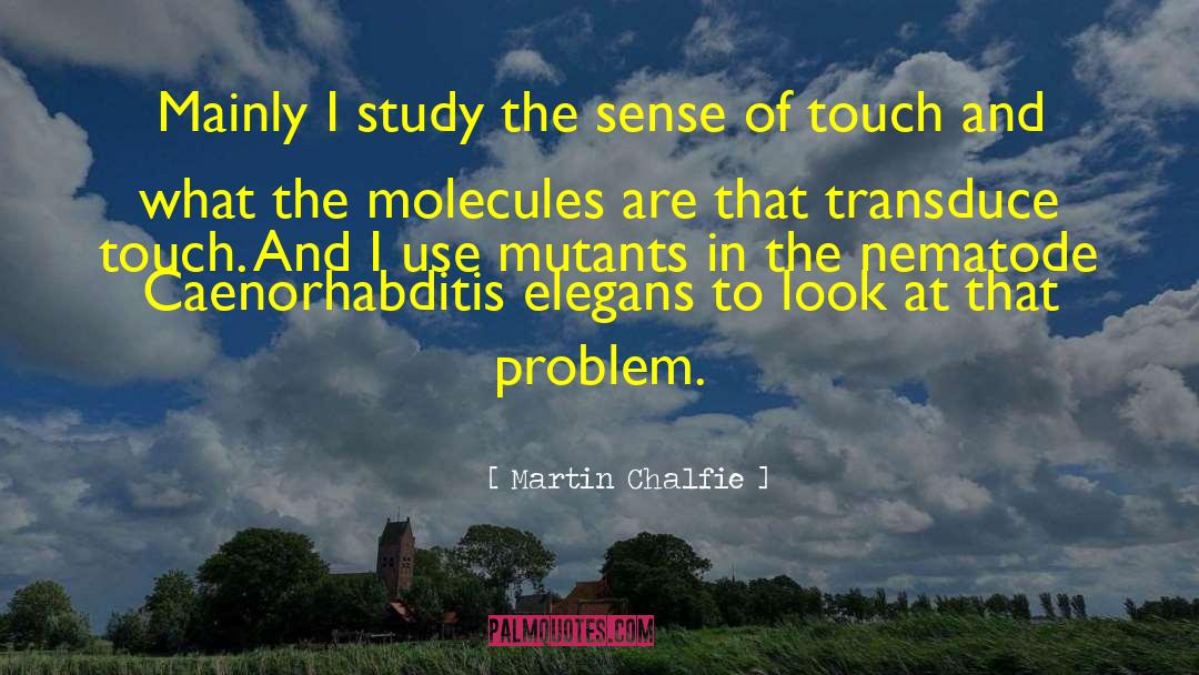 Martin Chalfie Quotes: Mainly I study the sense