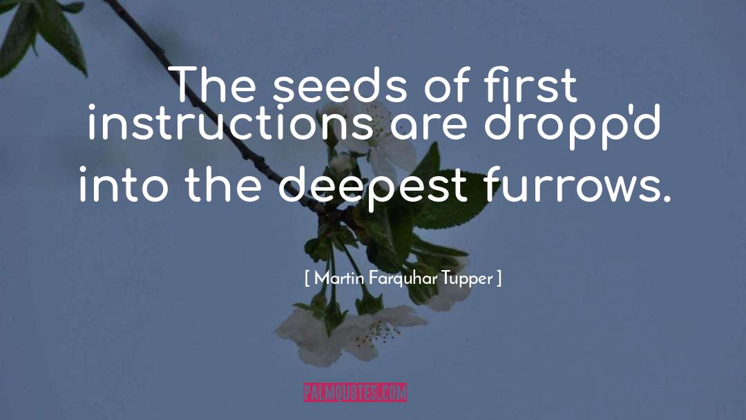 Martin Farquhar Tupper Quotes: The seeds of first instructions