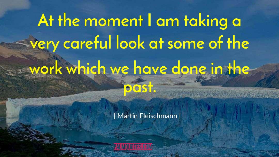 Martin Fleischmann Quotes: At the moment I am