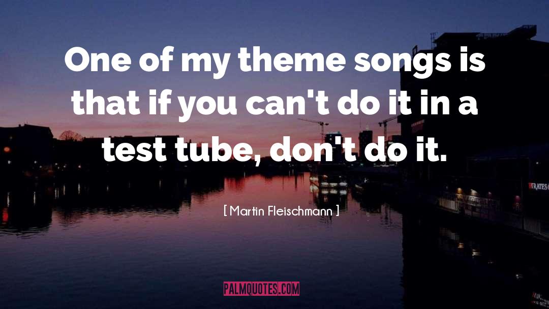 Martin Fleischmann Quotes: One of my theme songs