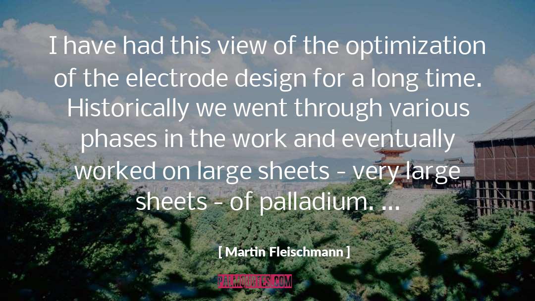 Martin Fleischmann Quotes: I have had this view