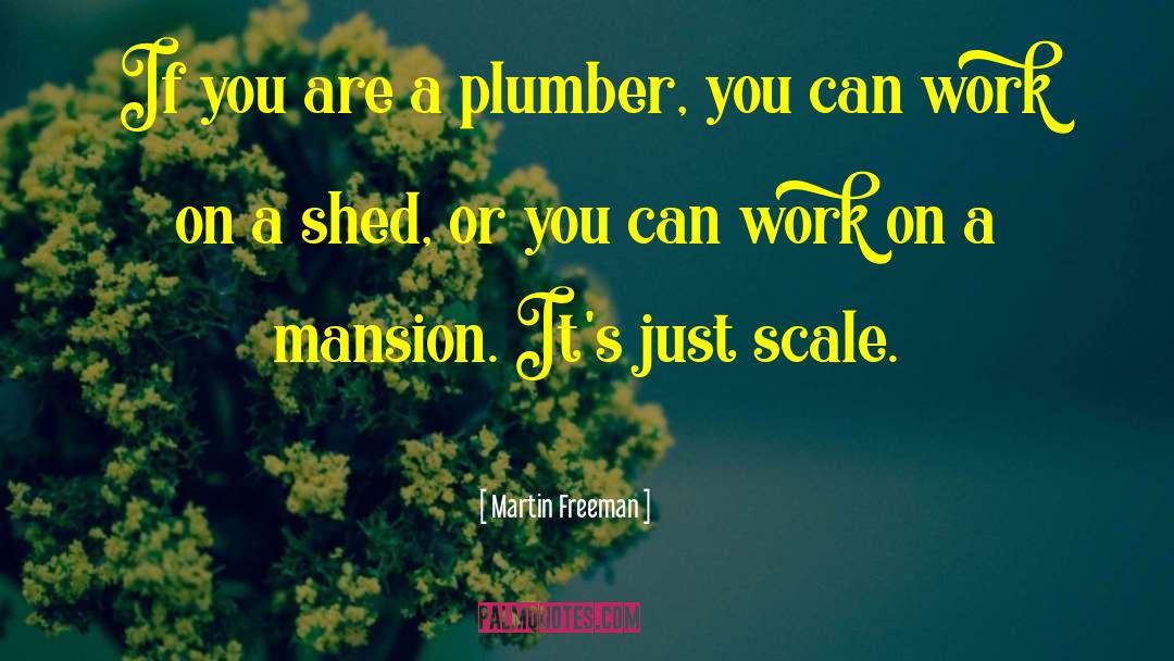Martin Freeman Quotes: If you are a plumber,