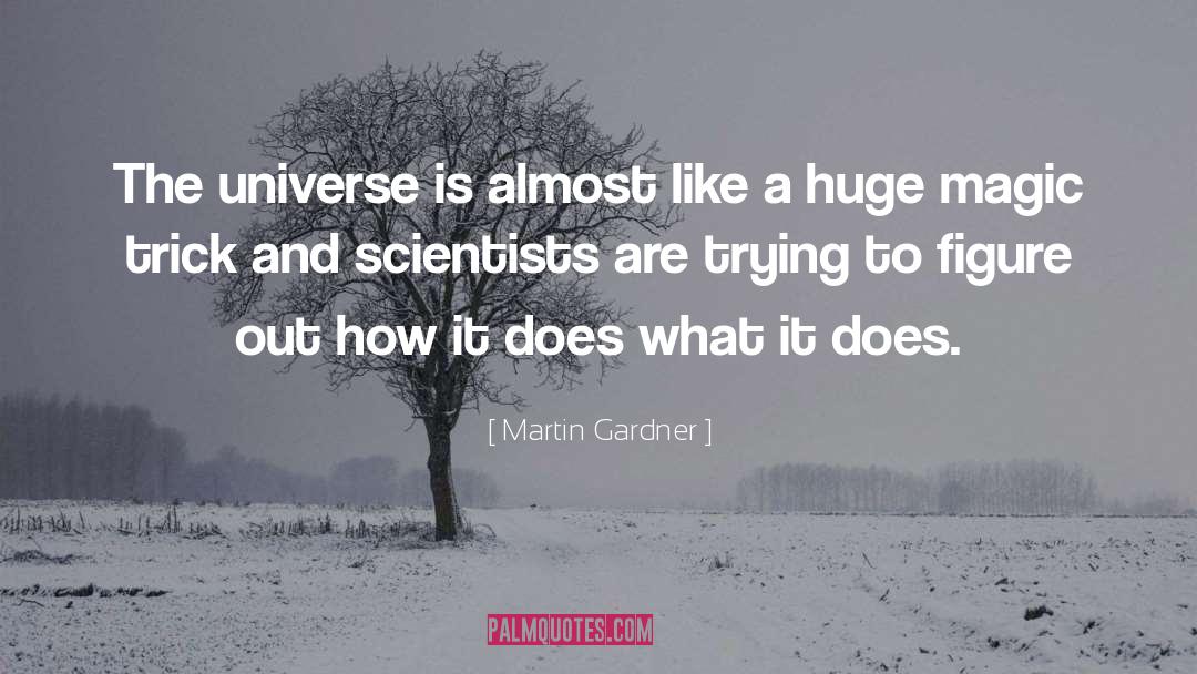 Martin Gardner Quotes: The universe is almost like