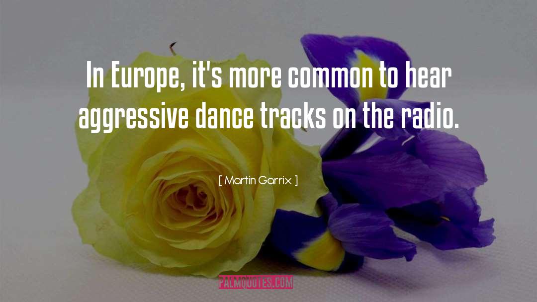Martin Garrix Quotes: In Europe, it's more common